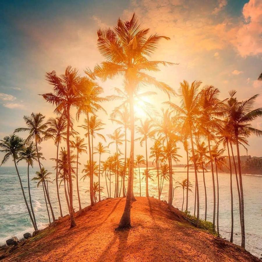 Готель Coco Mount Mirissa Матара Екстер'єр фото